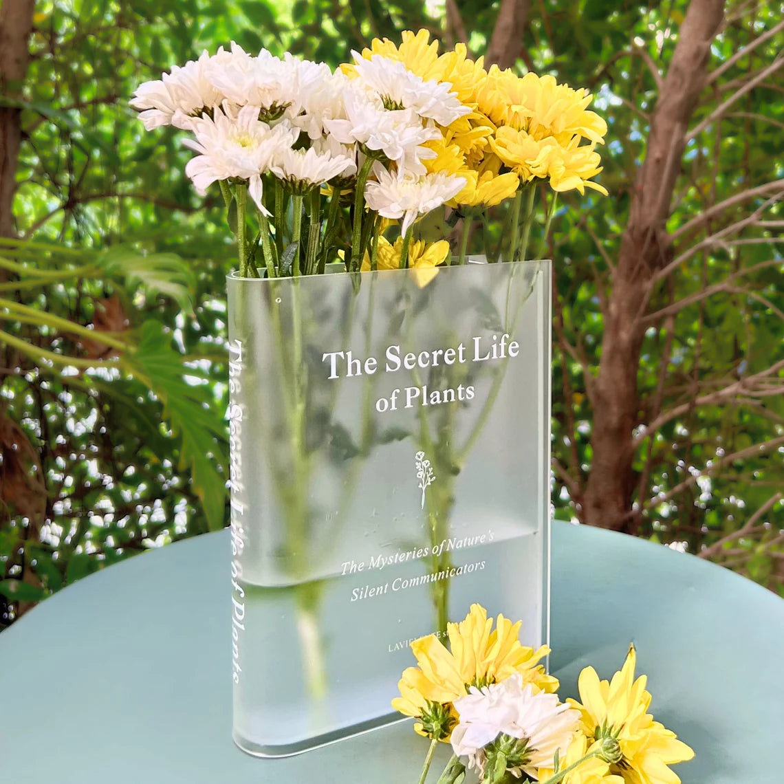 Clear Book Vase
